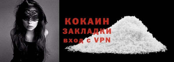 шишки Пестово